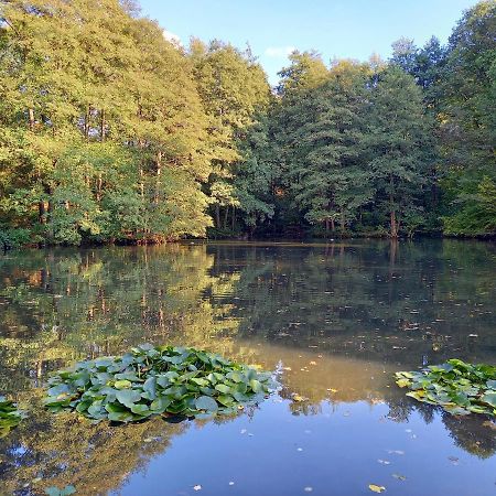 Ferienwohnung am Waldsee mit Schwimmbad Gernsbach Exterior foto