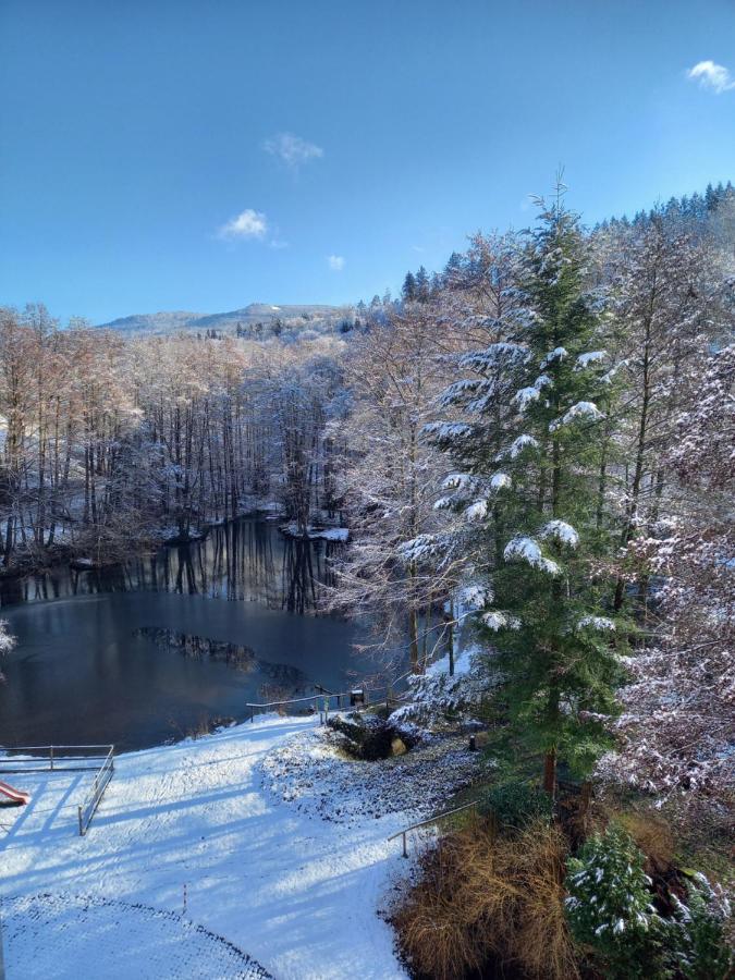 Ferienwohnung am Waldsee mit Schwimmbad Gernsbach Exterior foto